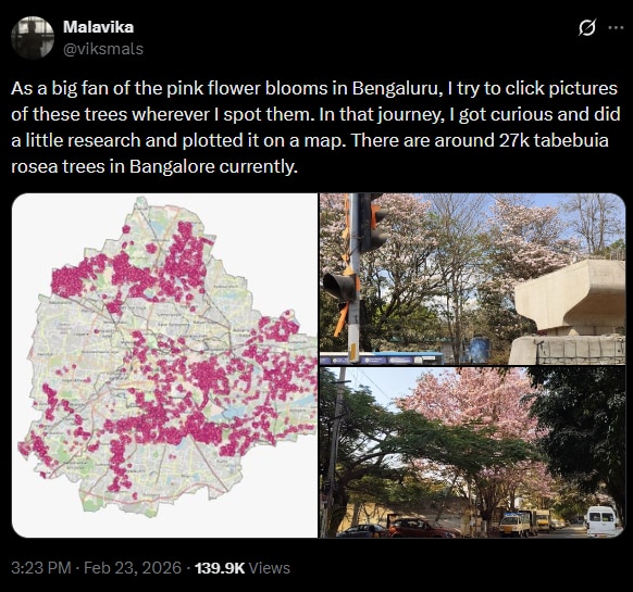 Bengaluru techie creates app to track pink blossom trees across the city